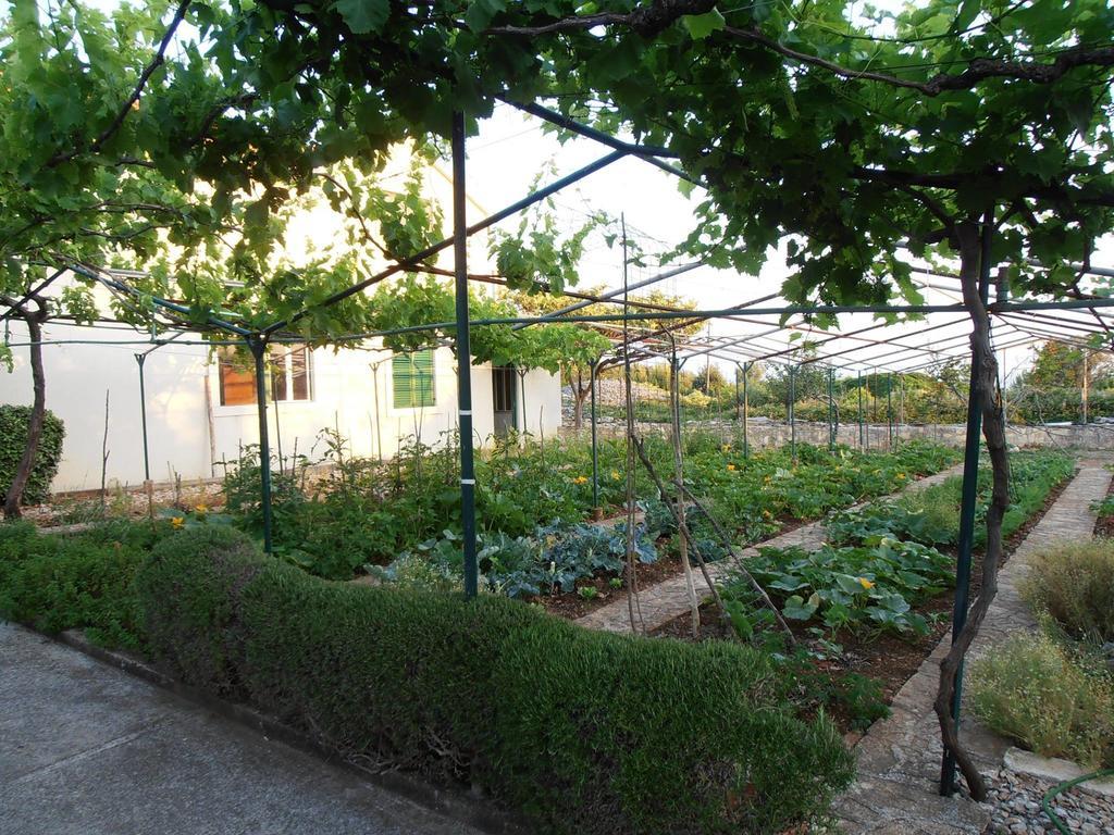 Jenny'S House Supetar Exterior foto